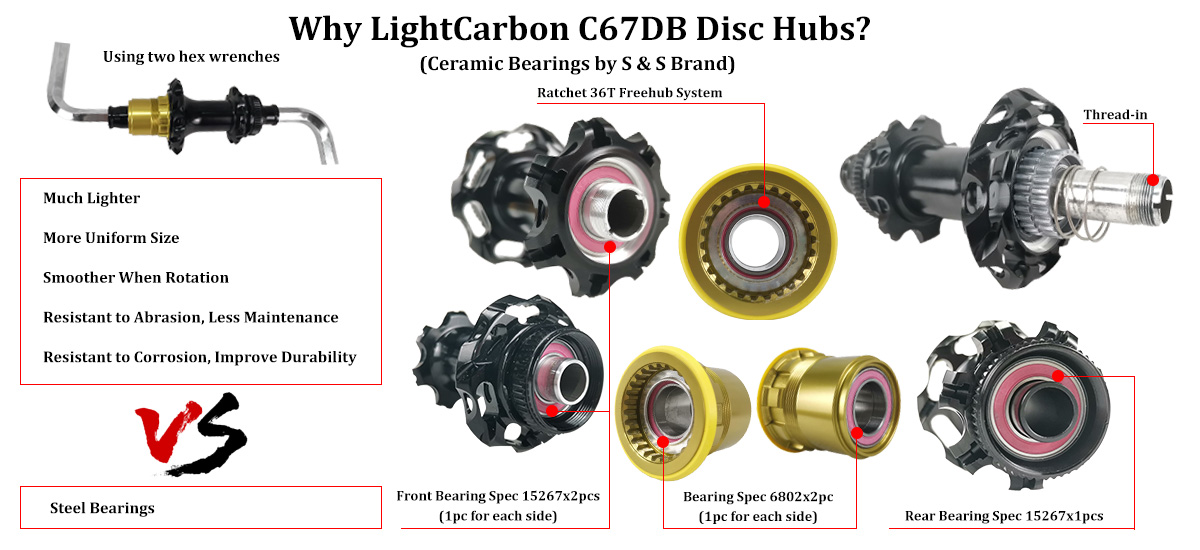 Struktur und Lager der LightCarbon C67DB-Naben