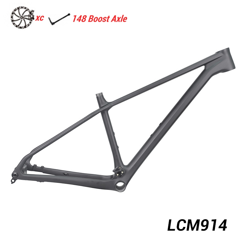 29er Hardtail Carbon Frame